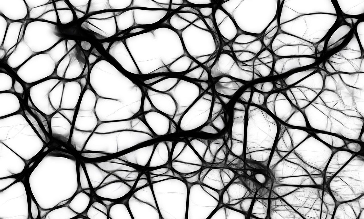cropped-brain-network.jpg